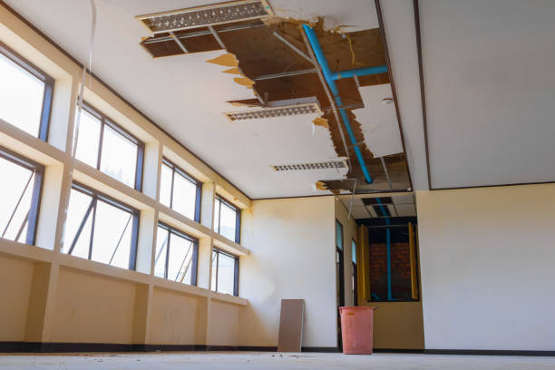 Best Ceiling water damage repair  in Clarksville, TX