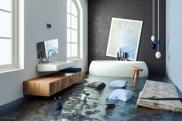 Best Mold removal after water damage  in Clarksville, TX