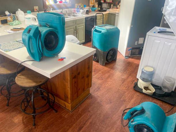 Best Water damage contractors near me  in Clarksville, TX