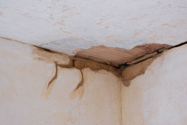 Best Water damage restoration insurance claims  in Clarksville, TX