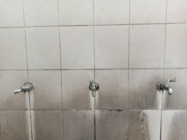 Best Sewage cleanup and water damage restoration  in Clarksville, TX