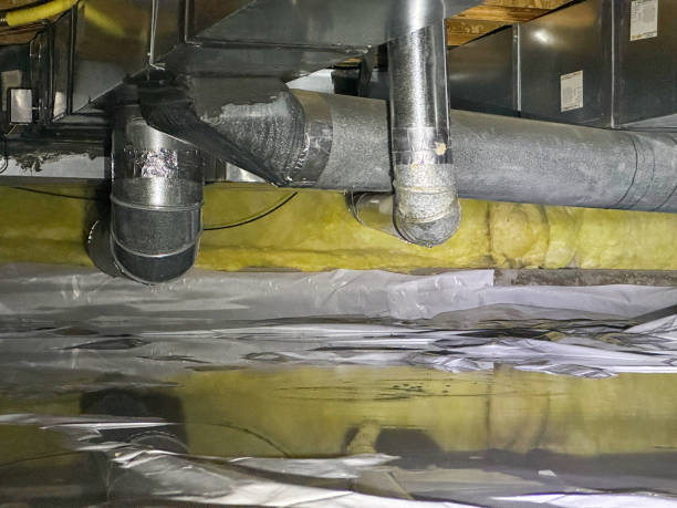 Best Mold removal after water damage  in Clarksville, TX